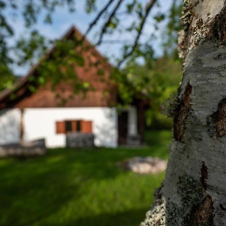Holiday Home Srednja Vas Srednja Vas v Bohinju Extérieur photo