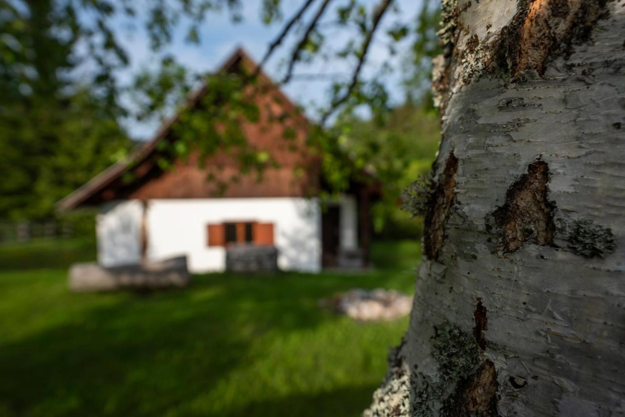 Holiday Home Srednja Vas Srednja Vas v Bohinju Extérieur photo